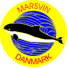 Marsvinetur