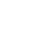 Marsvinetur Diplom